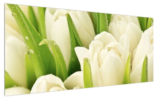 Tulipán virág képe (120x50 cm)