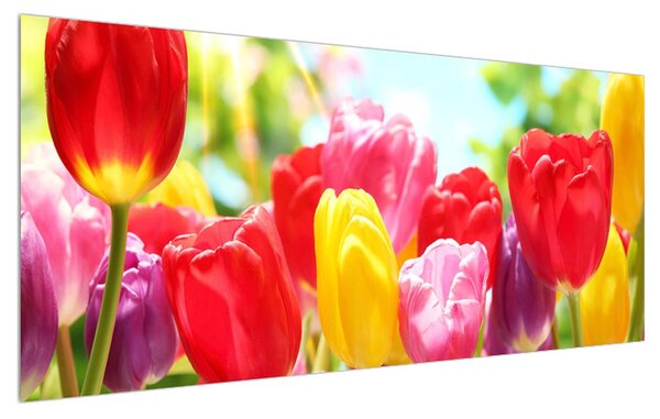 Tulipános kép (120x50 cm)