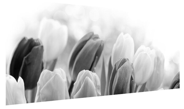 Bimbózó tulipánok fekete-fehér képe (120x50 cm)