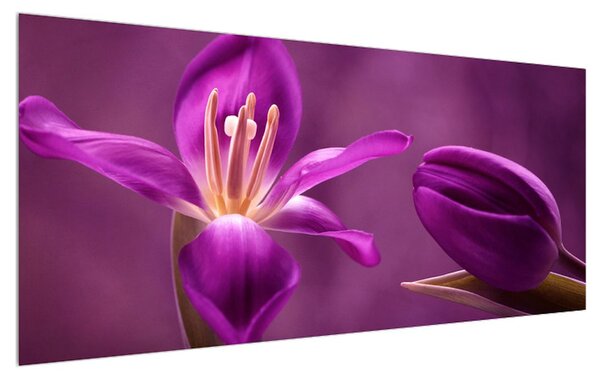 Lila virág képe (120x50 cm)