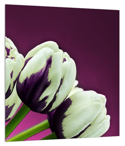 Tulipánok képe (30x30 cm)