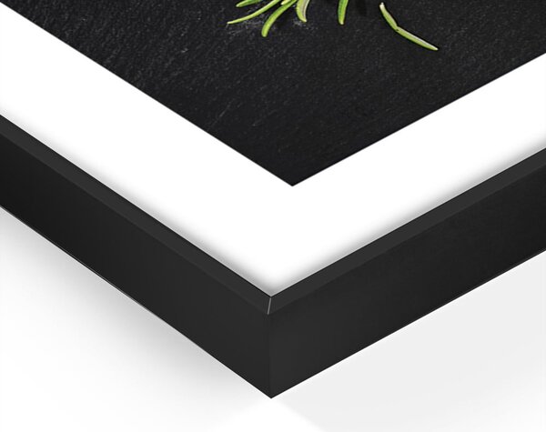 Kép 50x70 cm Rosemary – Styler
