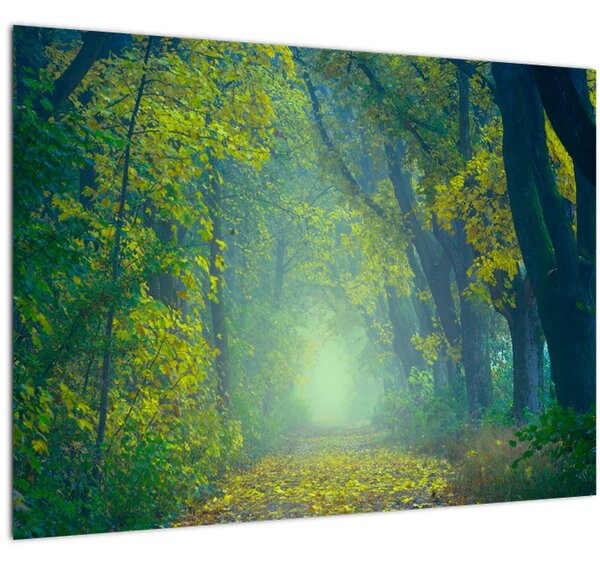 Fákkal szegélyezett út képe (70x50 cm)