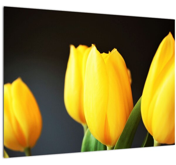 Tulipán képe (70x50 cm)