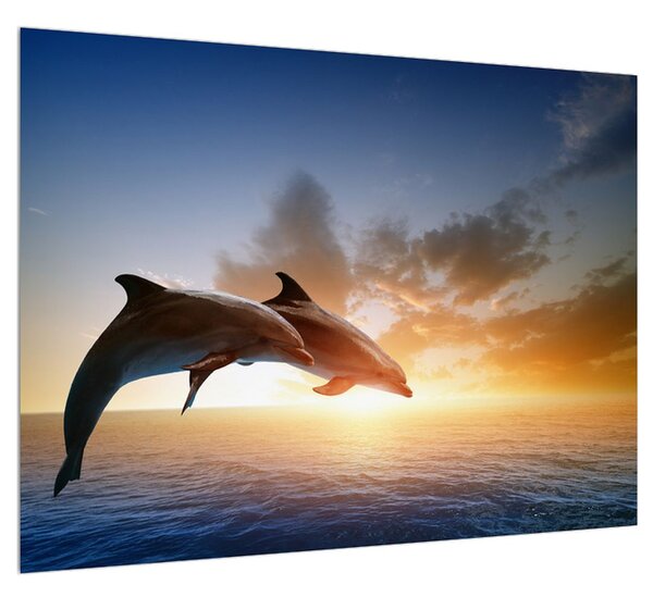 Delfinek képe (70x50 cm)
