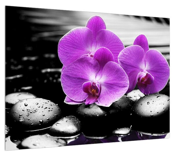 Orchidea virágok képe (70x50 cm)
