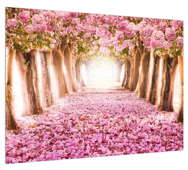Virágos sétány képe (70x50 cm)