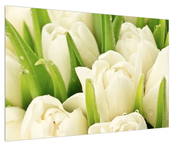 Tulipán virág képe (90x60 cm)