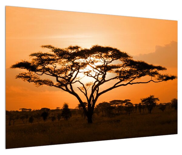 Afrikai szavanna képe (90x60 cm)