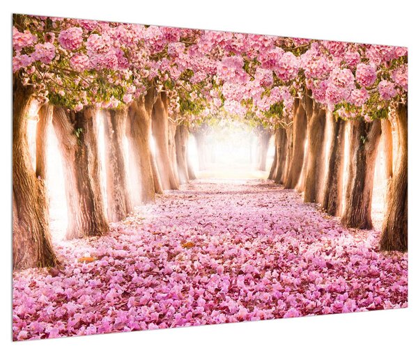 Virágos sétány képe (90x60 cm)