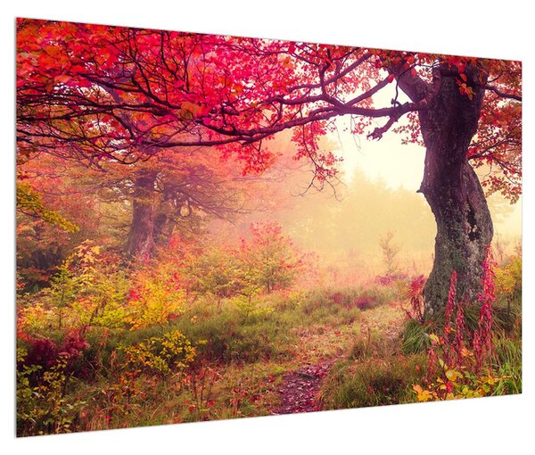 Erdei őszi tájkép (90x60 cm)
