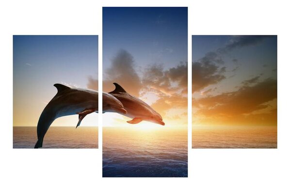Delfinek képe (90x60 cm)