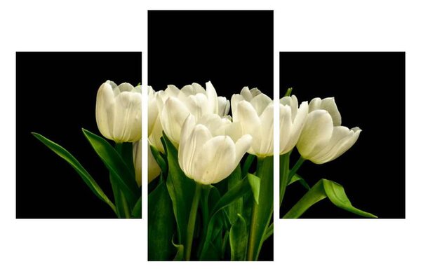 Tulipánok képe (90x60 cm)