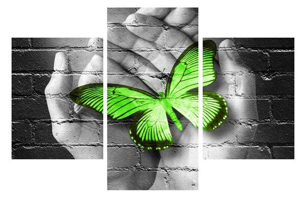 Pillangó a tenyérben modern kép (90x60 cm)