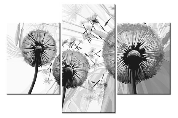 Fekete fehér kép -pitypang pehely (90x60 cm)