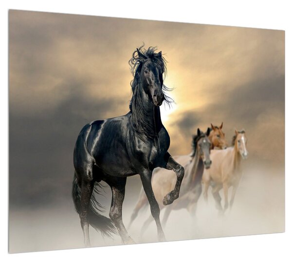 Ló képe (70x50 cm)