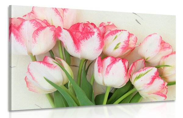 Kép tavaszi tulipánok