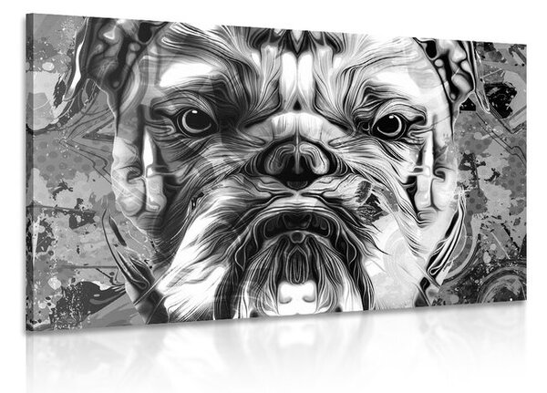 Kép francia bulldog fekete fehérben
