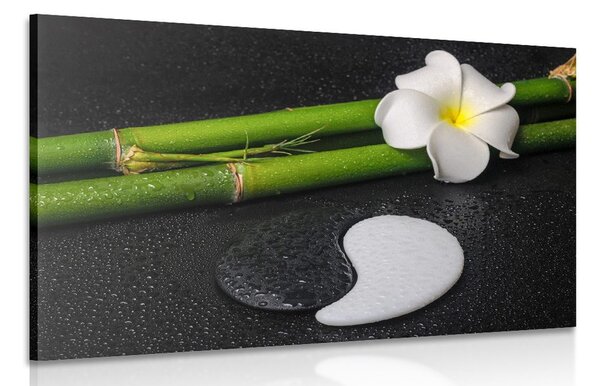 Kép Spa csendélet és Jin Jang