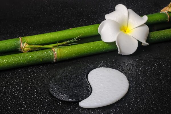 Kép Spa csendélet és Jin Jang