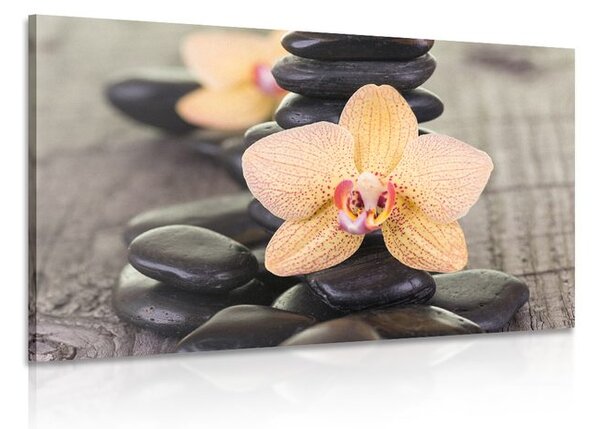 Kép sárga orchidea és Zen kövek