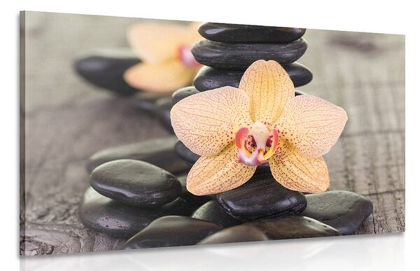 Kép sárga orchidea és Zen kövek