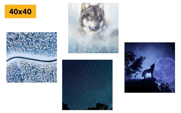 Képszett magányos farkas