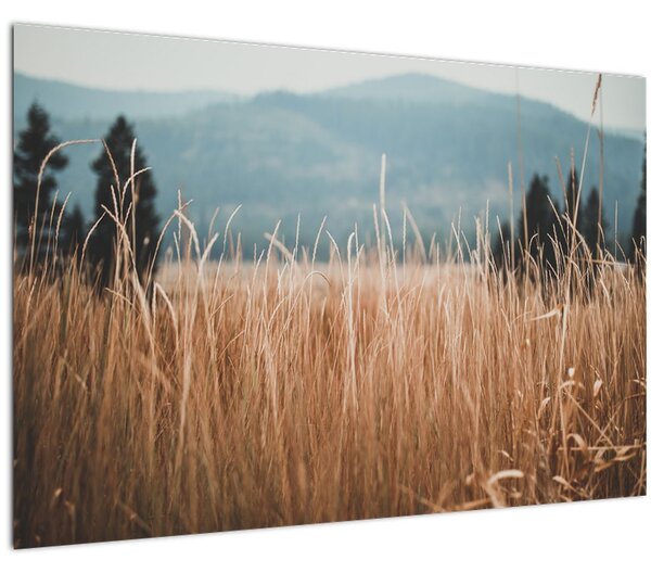 Kép - réti növényzet részlete (90x60 cm)