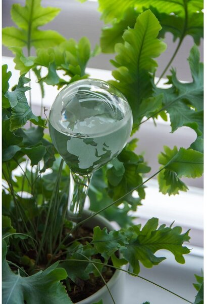Üveg locsológömb 175 ml Globe – Esschert Design