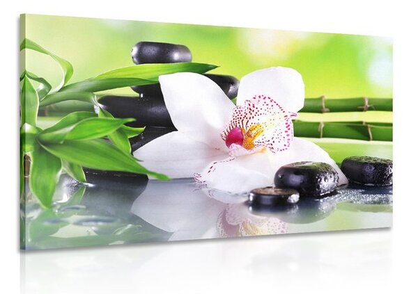 Kép japán orchidea