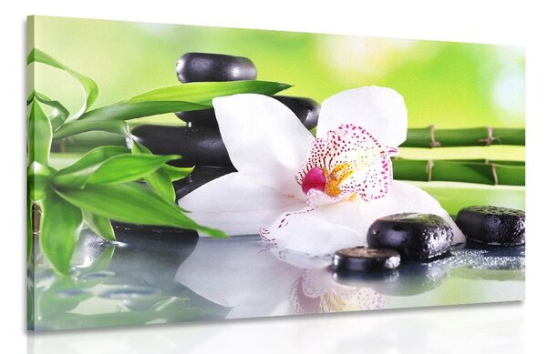 Kép japán orchidea