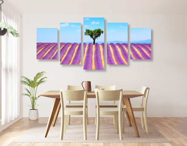 5 részes kép provence-i levandula mező