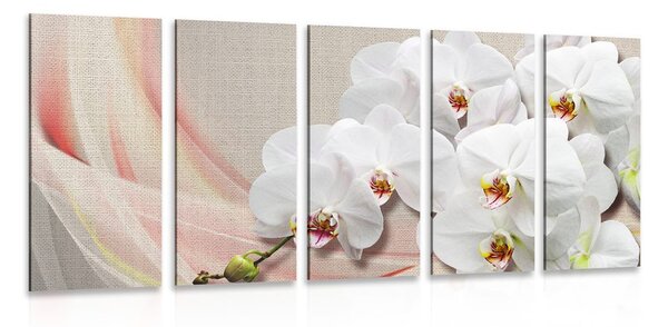 5-részes kép fehér orchidea