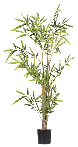 Műnövény BAMBUSA VULGARIS 100 cm Zöld