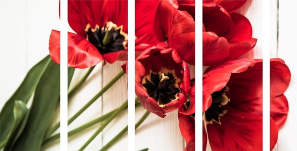 5-részes kép tulipán virágok