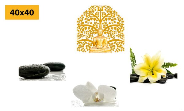 Képszett kellemes Feng Shui csendélet