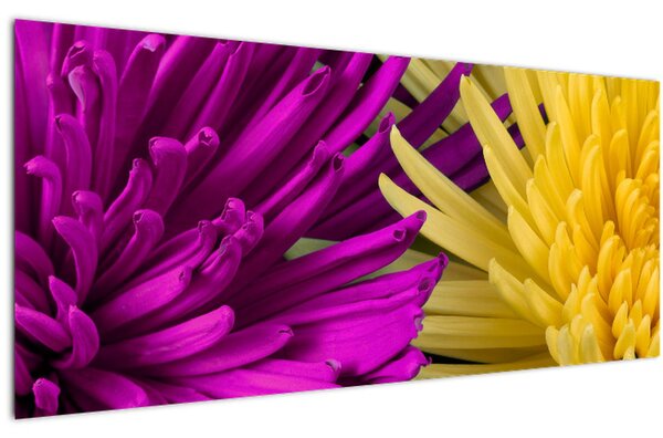 Kép - virág részlet (120x50 cm)