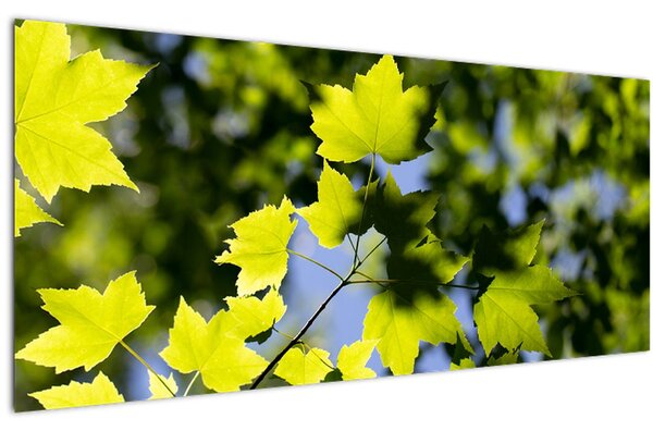 Kép - juhar levelek (120x50 cm)