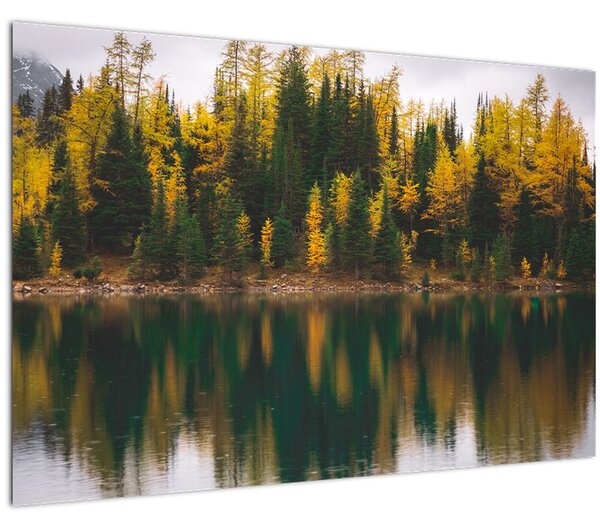 Erdei tó képe (90x60 cm)