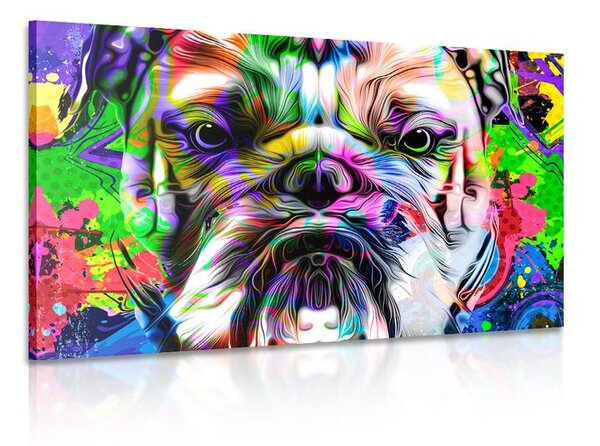 Kép pop art francia bulldog