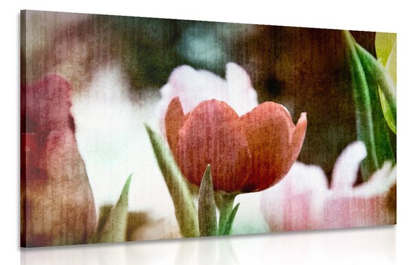 Kép retro tulipán a réten