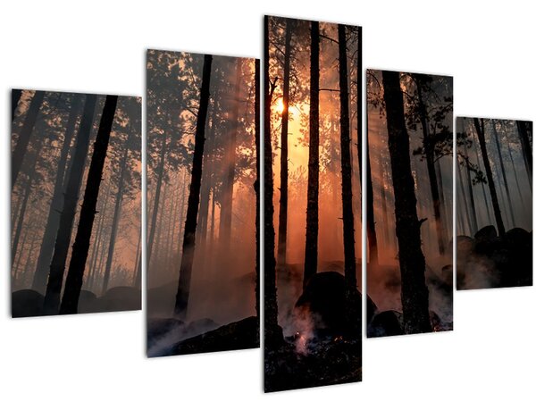 Sötét erdő képe (150x105 cm)