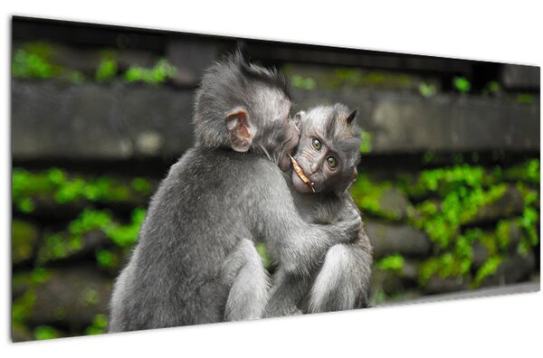Kép - majmok (120x50 cm)