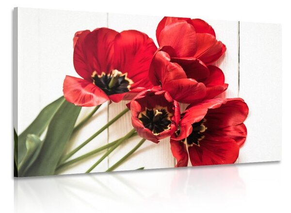 Kép virító piros tulipánok
