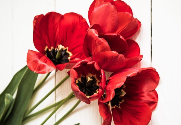 Kép virító piros tulipánok