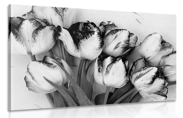 Kép tavaszi tulipánok fekete fehérben