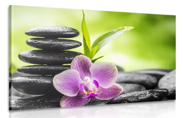 Kép meditációs Zen kompozíció
