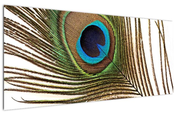 Pávatoll képe (120x50 cm)