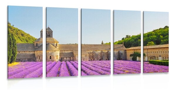 5-részes kép Provence levandulával