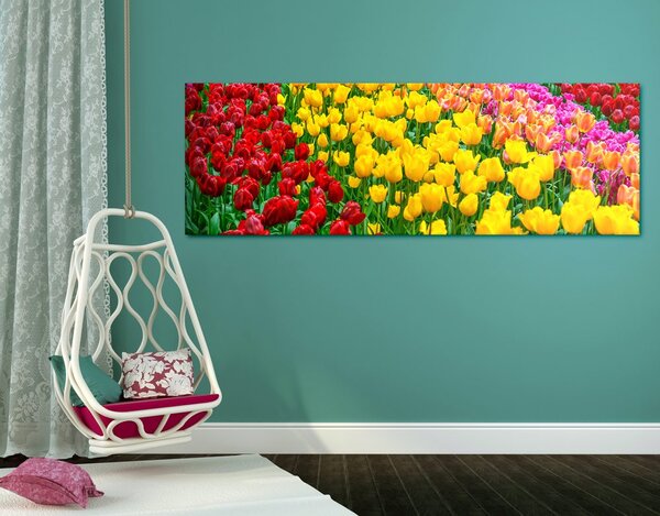 Kép tulipán kert